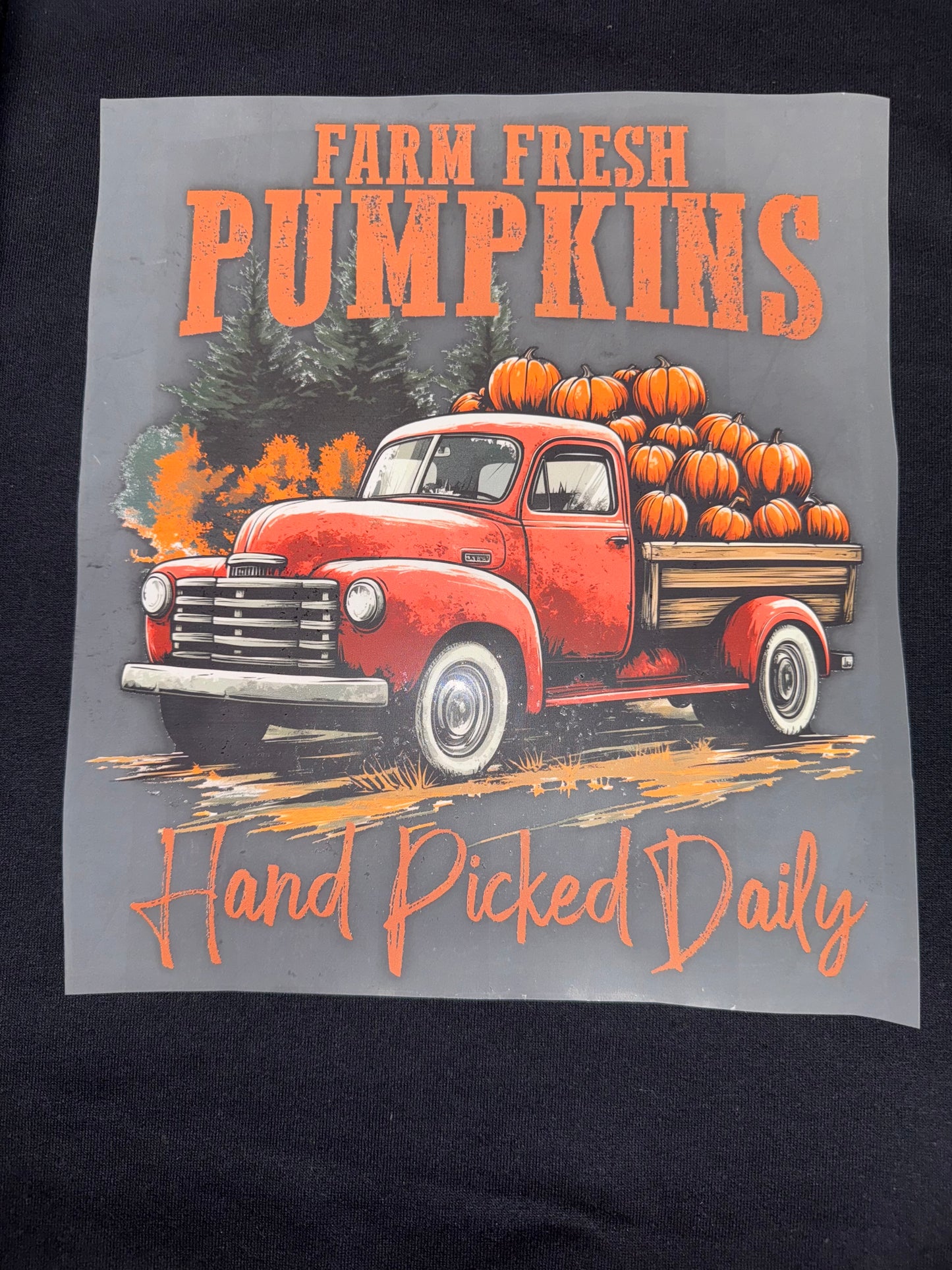 Farm Fresh Pumpkin Crewneck π