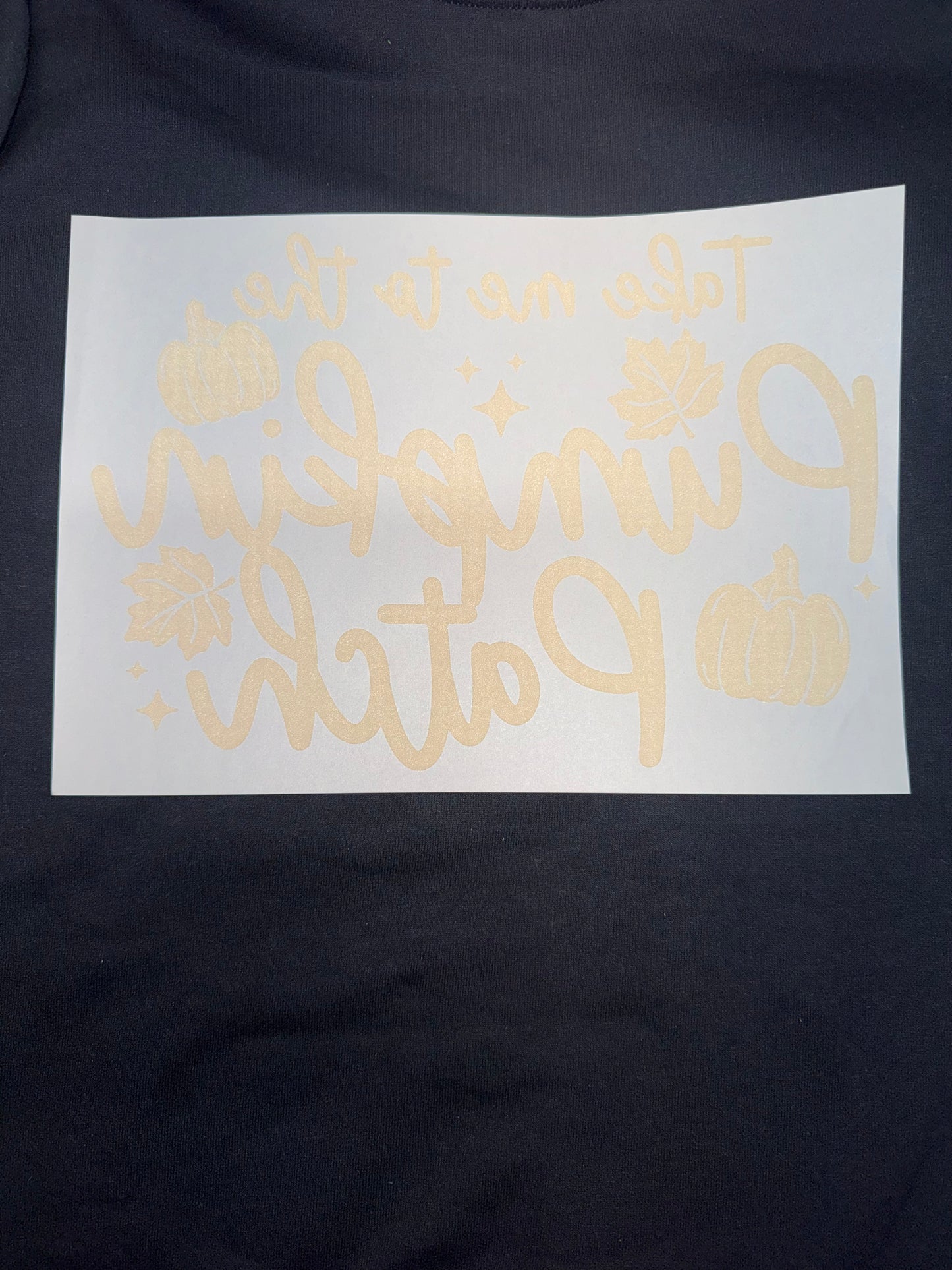 Take me to the Pumpkin Patch Crewneck π