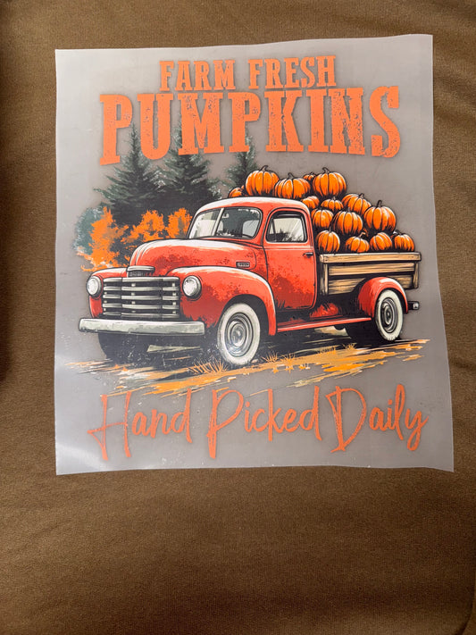 Farm Fresh Pumpkin Crewneck 🎃